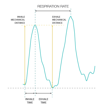 respiration-rate-illus.png