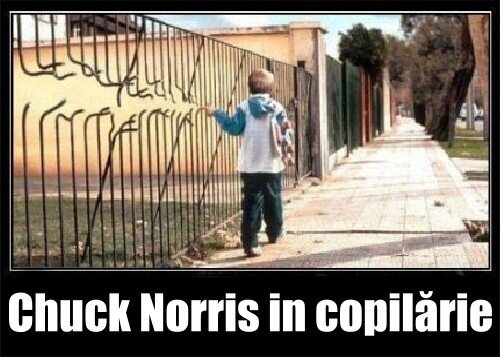 chuck_Norris_in_copilarie.jpg