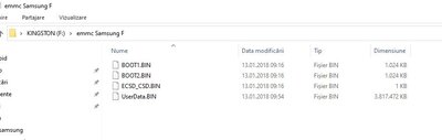 fisiere EMMC SAMSUNG F.JPG
