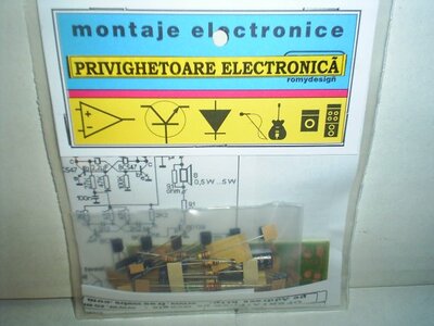 privighetoare-electronica-600x450.jpg