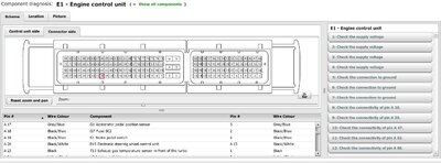 conector pin 20.jpg