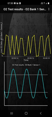 Screenshot_20240221-073022_Torque.jpg